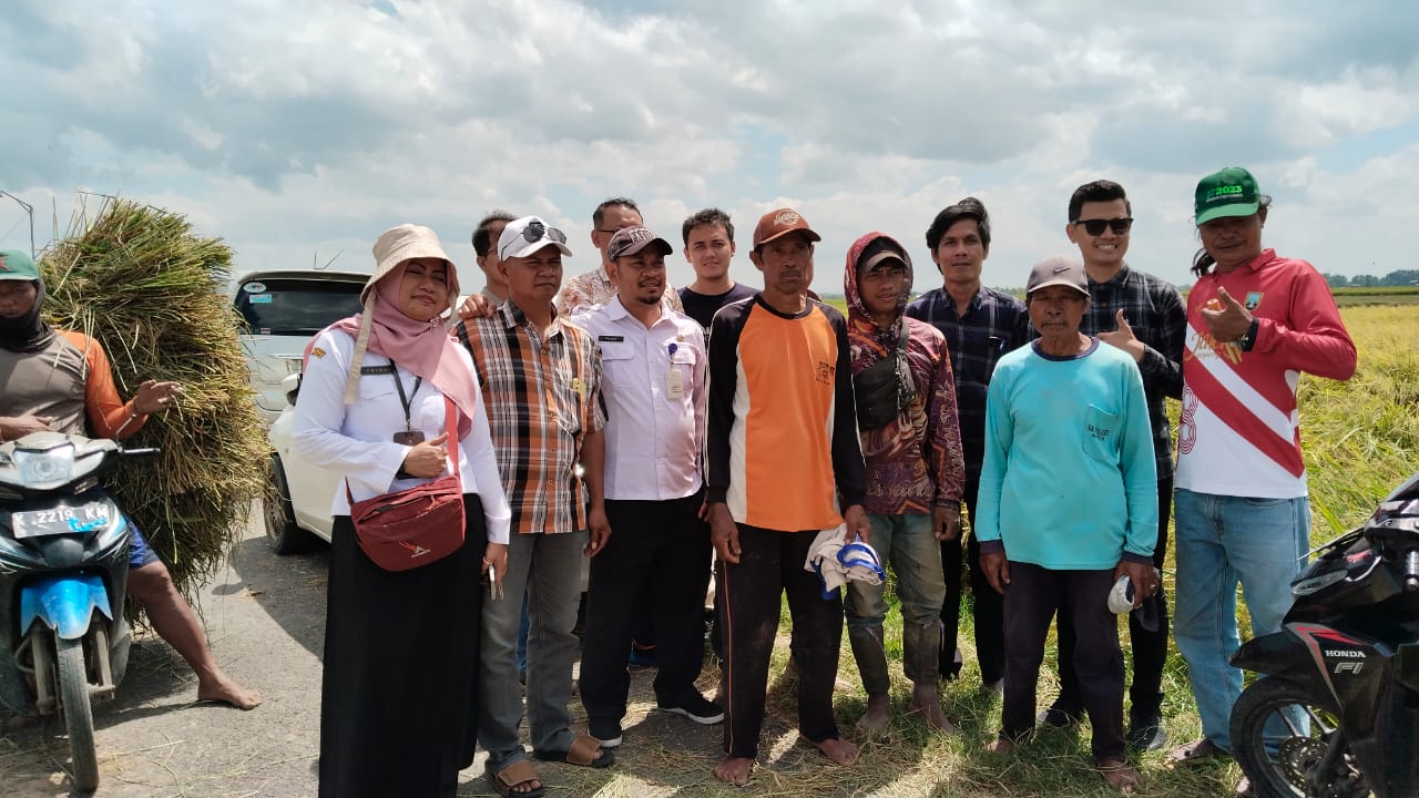 CEK HASIL PANEN: Perwakilan Bulog, PPL Dinas pertanian Kabupaten Rembang mengecek hasil panen padi para petani di di Kecamatan Sumber baru-baru ini.(DOK. RADAR KUDUS)