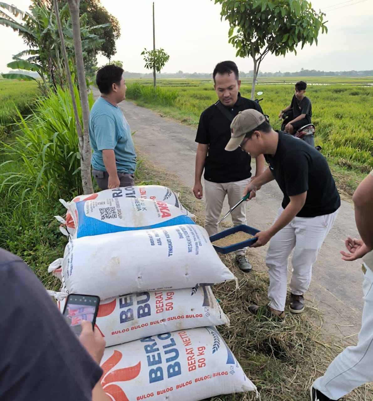 Petugas dari Bulog Kantor Cabang Pati saat melakukan pembelian gabah kering dari petani lokal.