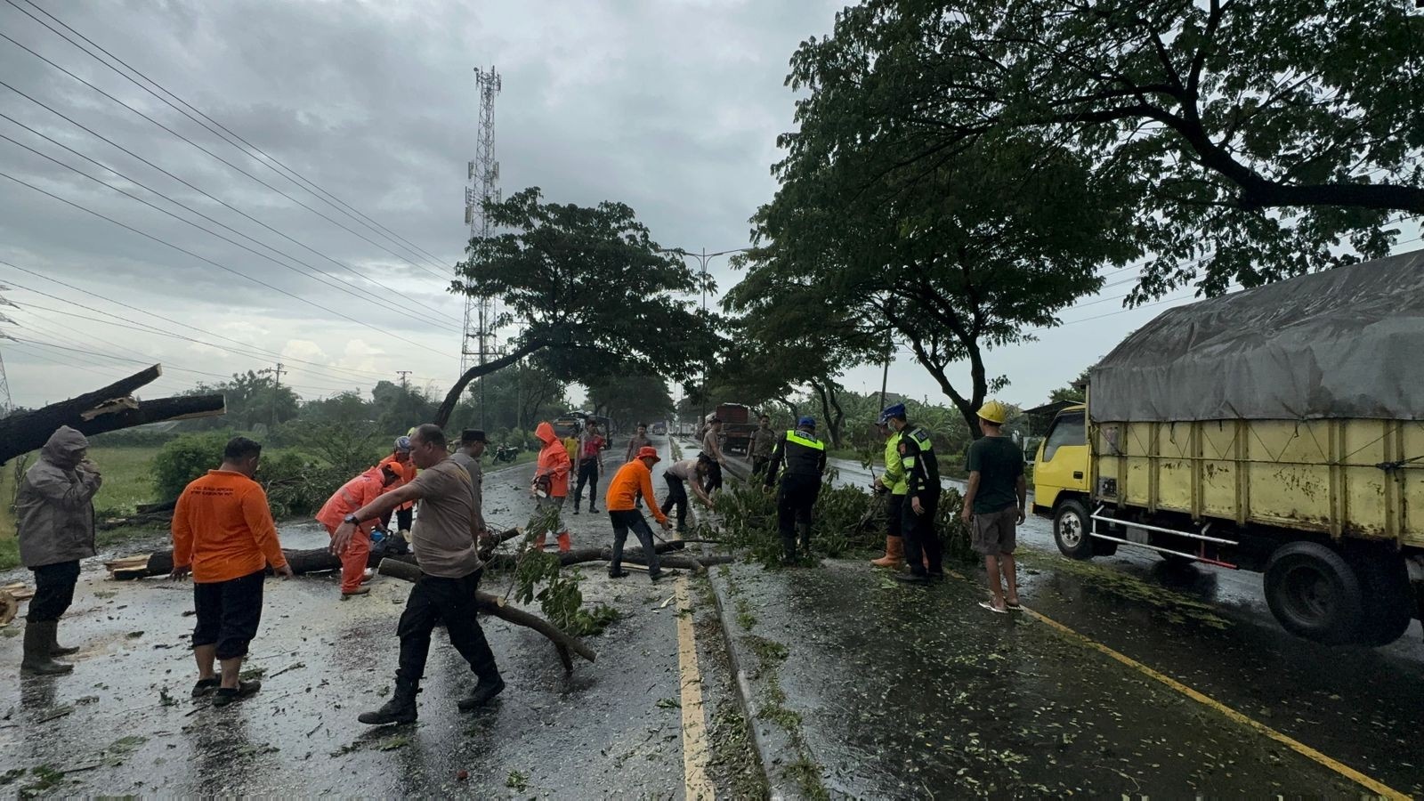 AMBRUK: Petugas mengevakuasi pohon tumbang di JLS Pati kemarin siang.