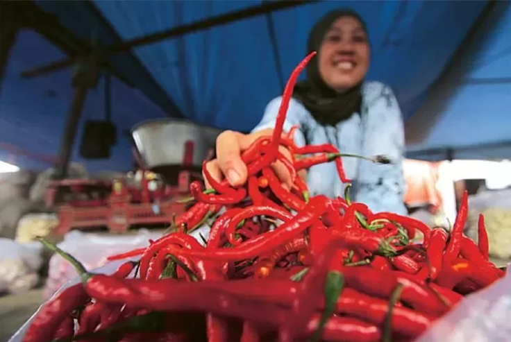 ILUSTRASI: Salah satu pedagang cabai keriting di Pasar Blimbing, Kota Malang. (Satria Cahyono/Radar Malang)