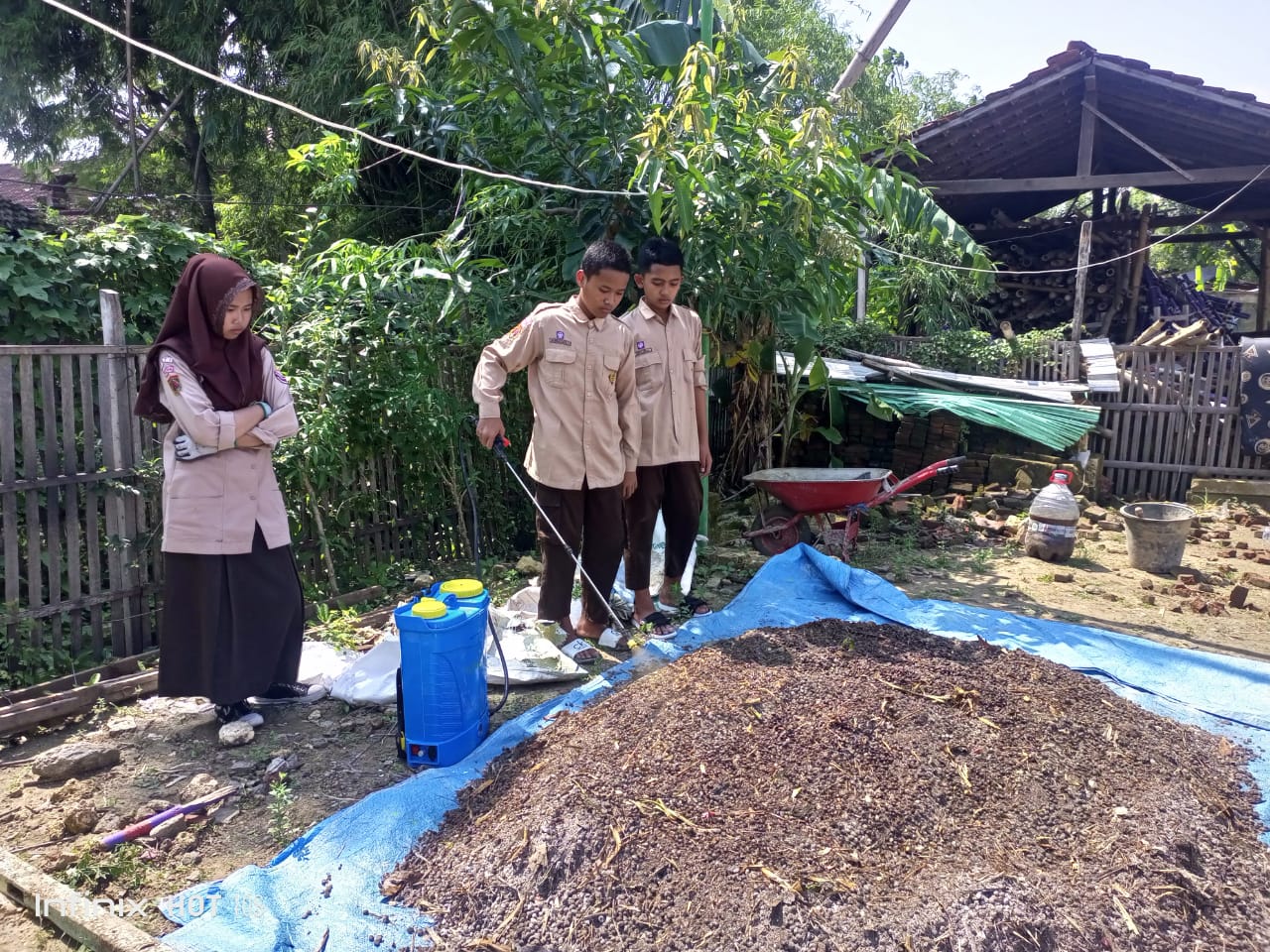 Siswa-siswi di MTs Tarbiyatul Banin Winong Pati saat proses pembuatan pupuk hayati.