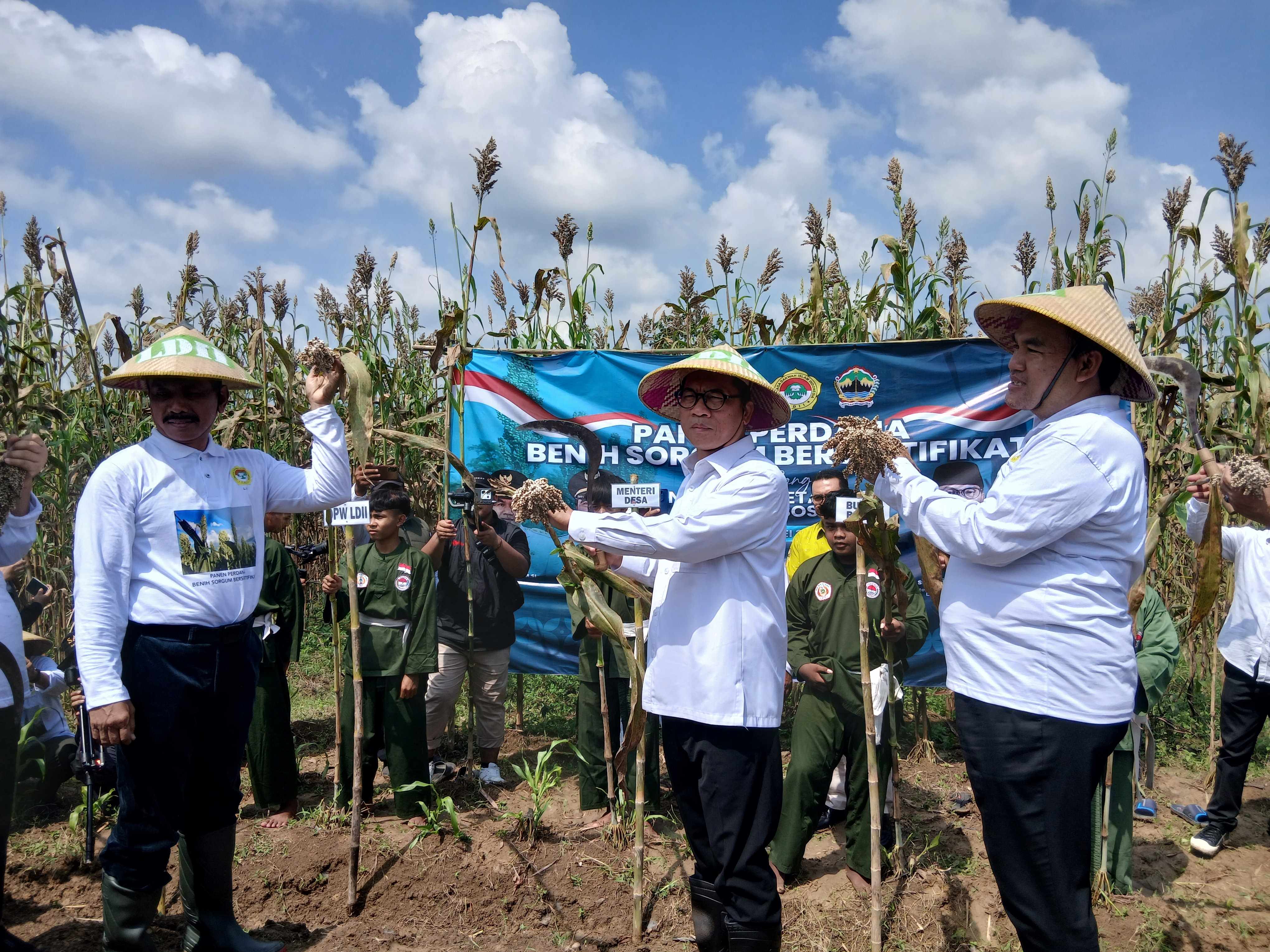OPTIMIS: Menteri Desa, Pembangunan Daerah Tertinggal, dan Transmigrasi (Mendes PDTT) Yandri Susanto (tengah) didampingi Bupati Blora Arief Rohman (kanan) saat panen Sorgum