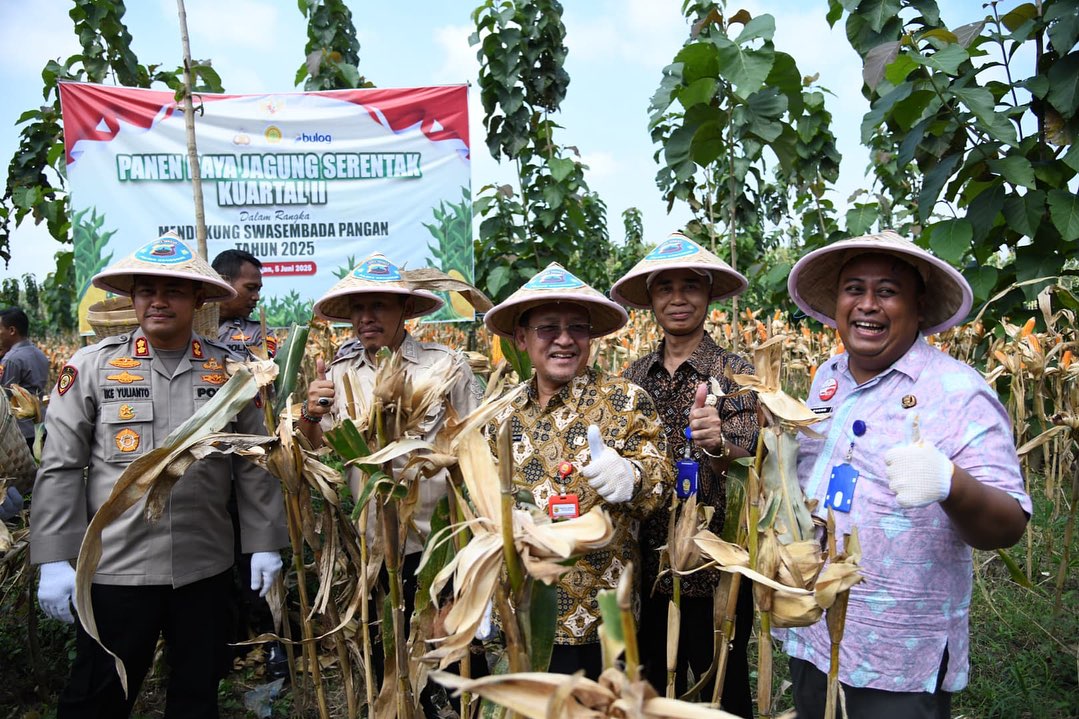 PANEN PERDANA &ndash; Wakil Bupati Grobogan Sugeng Prasetyo memanen jagung bersama Kapolres Grobogan AKBP Ike Yulianto di Desa Tambakselo, Kecamatan Wirosari.