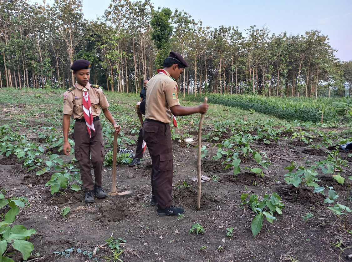 TANAM PALAWIJA &ndash; Anggota Pramuka Saka Wanabakti menanam pohon palawija koro pedang di RPH tambakselo, Kecamatan Wirosari. SIROJUL MUNIR/RADARPATI.ID