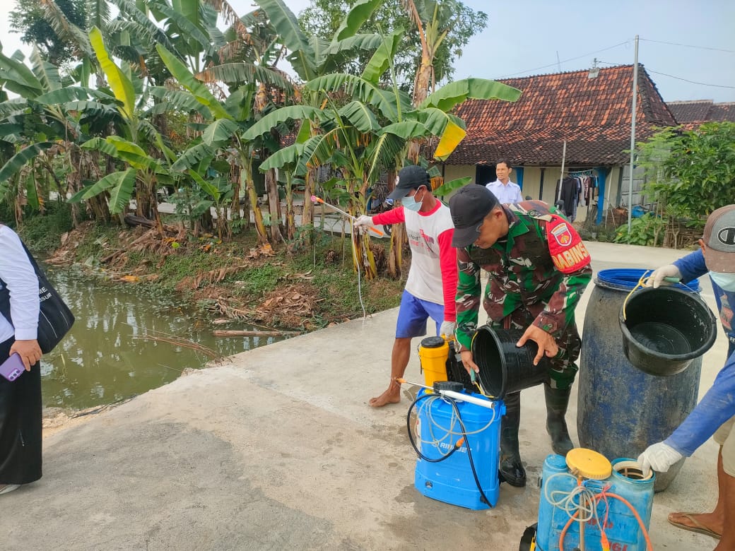 KETAHANAN PANGAN: Babinsa 13/Brati saat membantu mengendalikan hama di wilayah binaannya.