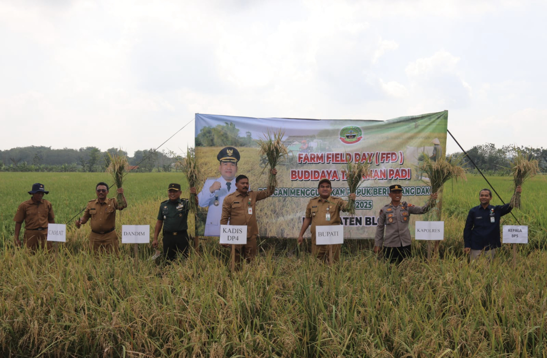 PANEN PADI - Bupati Blora Arief Rohman saat panen padi di Kelurahan Jepon. ARIF FAKHRIAN KHALIM/RADARPATI.ID