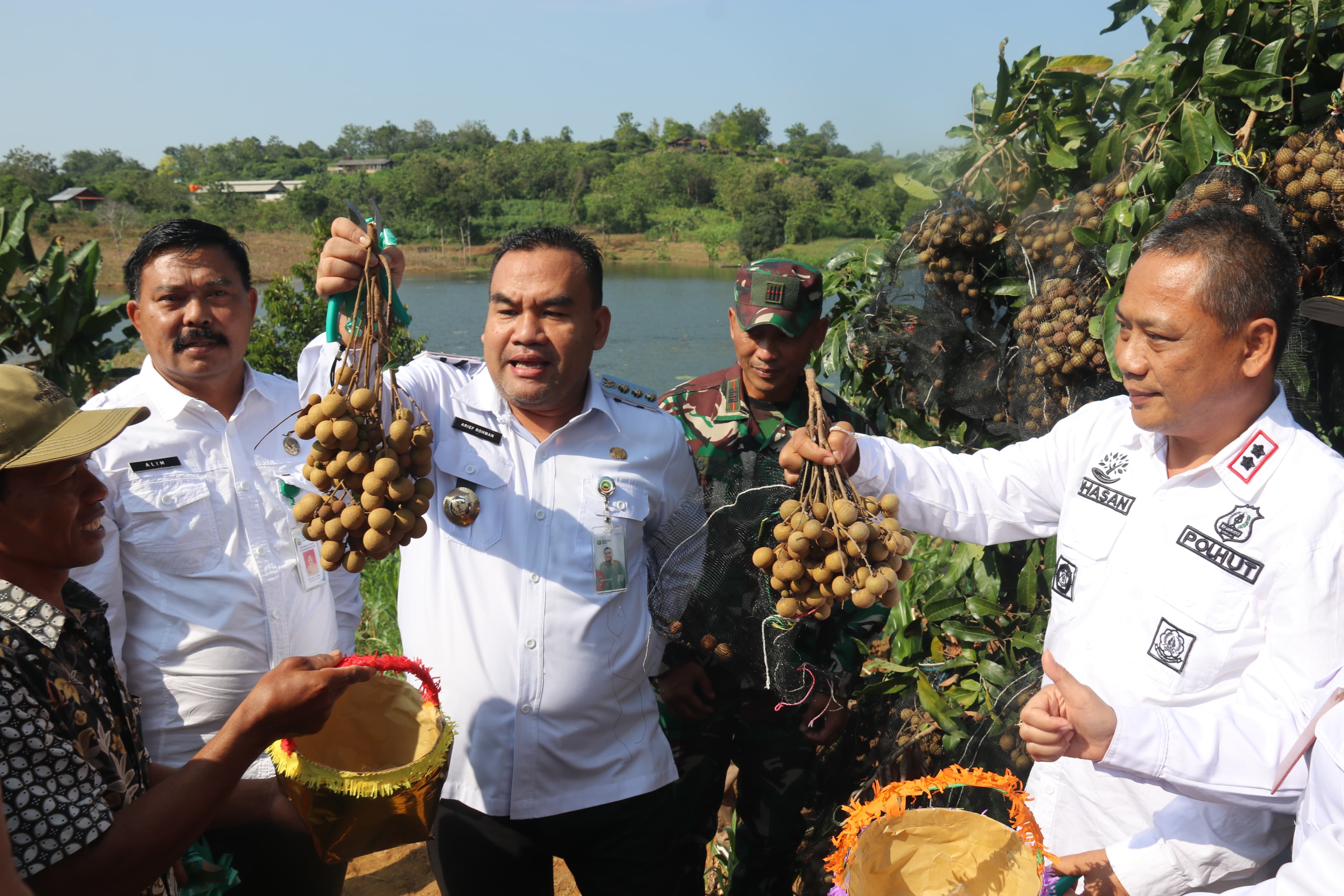 APRESIASI: Bupati Blora Arief Rohman saat ikut memanen kelengkeng di kawasan sempadan Waduk Greneng, Kecamatan Tunjungan.