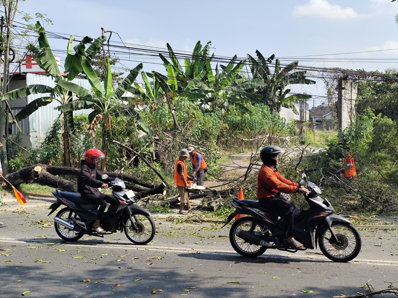 DIBONGKAR: Pohon di jalan Pantura Pati-Kudus ditarik petugas akhir pekan lalu.