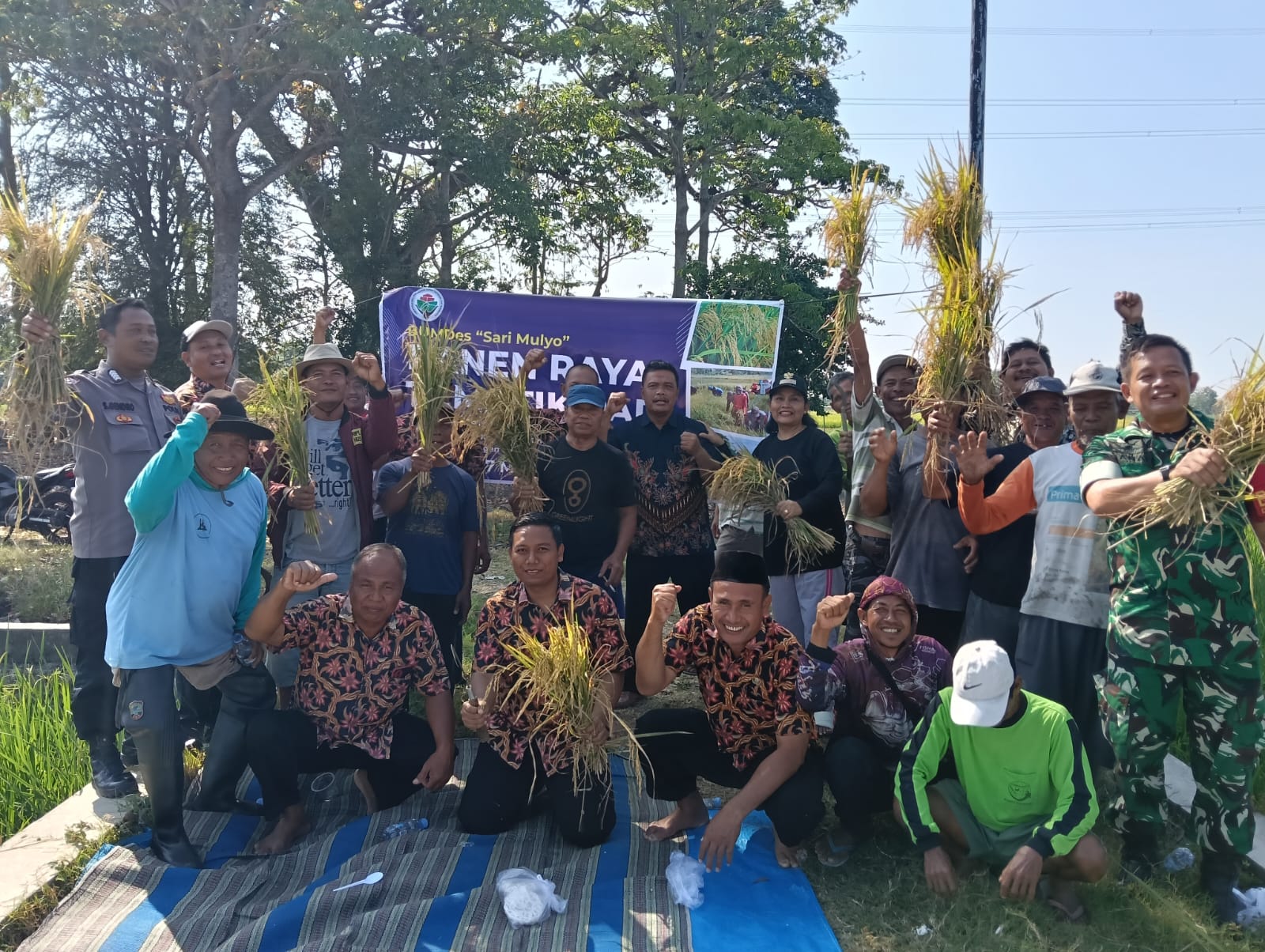 PANEN RAYA: Babinsa Koramil Brati dan warga saat panen raya padi tematil di Desa Karangsari Kecamatan Brati.