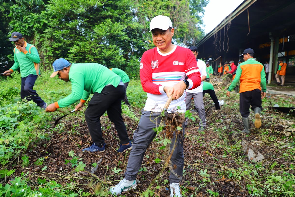 BERGERAK CEPAT: Bupati Kudus Sam&rsquo;ani Intakoris membersihkan rumput liar di eks Stasiun Kudus.  &nbsp;