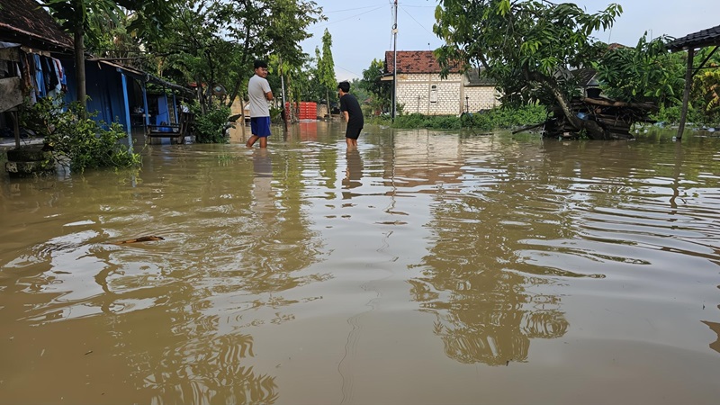 KEBANJIRAN: Warga Batangan beraktivitas di tengah genangan air di permukiman desa.