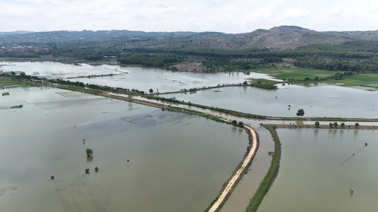 PERLU DITANGANI: Kondisi area lahan pertanian Desa Berugenjang dan Wonosoco Kecamataan Undaan, terendam air banjir.