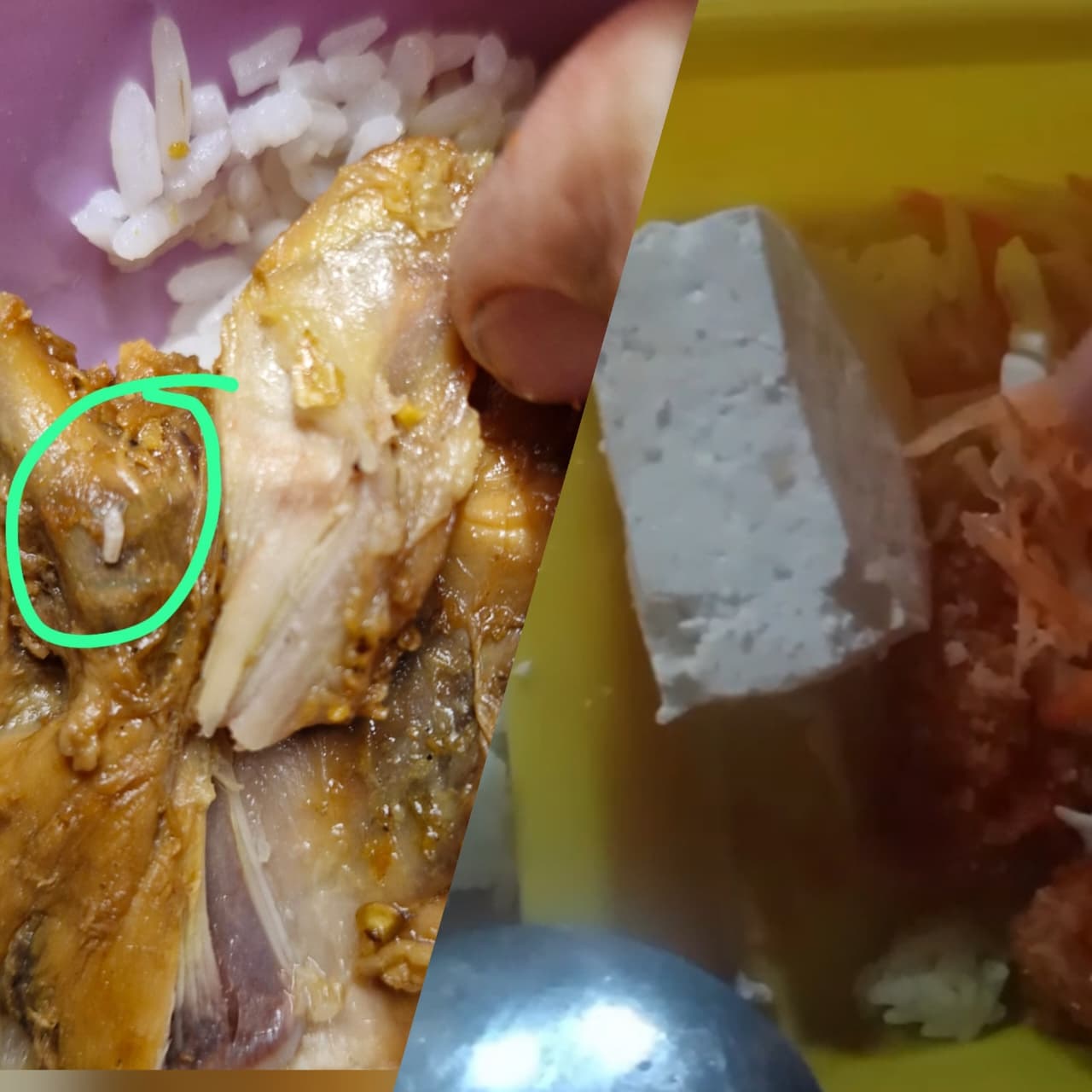 BERMASALAH: Lauk ayam diduga ada belatungnya dan sayur wortel mentah diduga menjadi temuan baru di penyaluran MBG di Rembang.(ISTIMEWA)