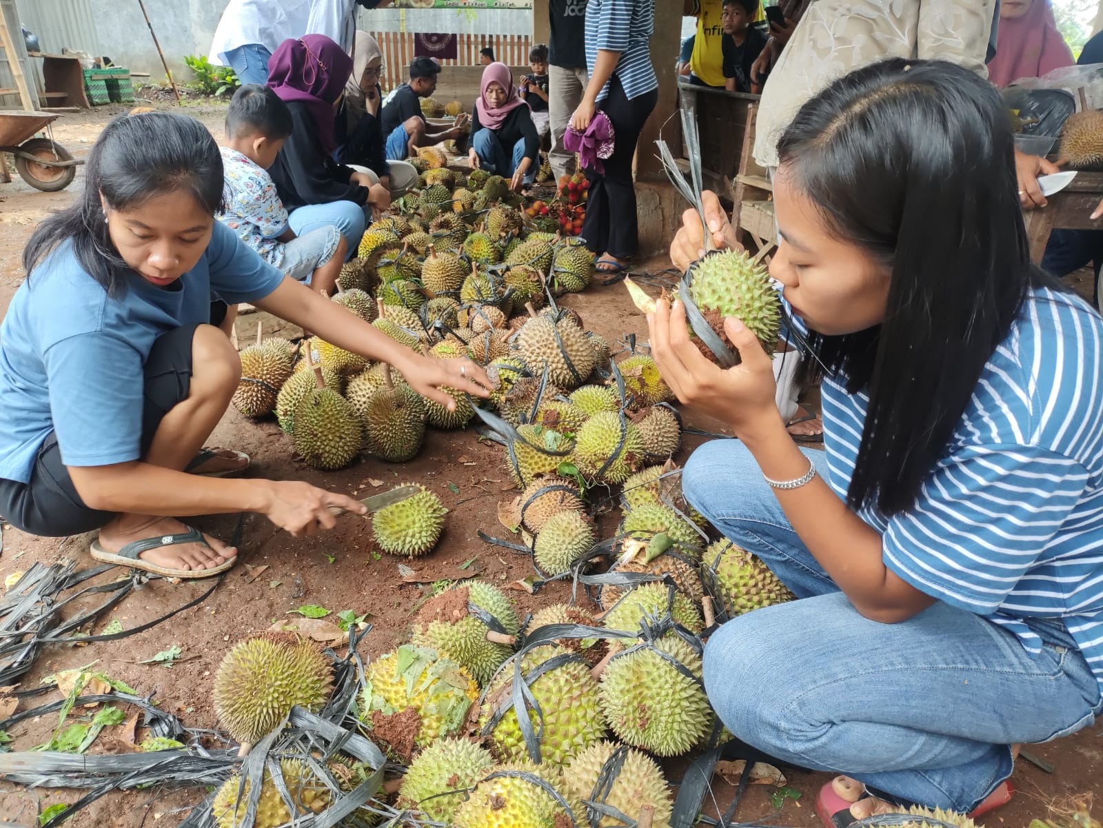 SENSASI LEMBUT: Warga memilih durian yang dijual di Pondok Durian Bu Yati.