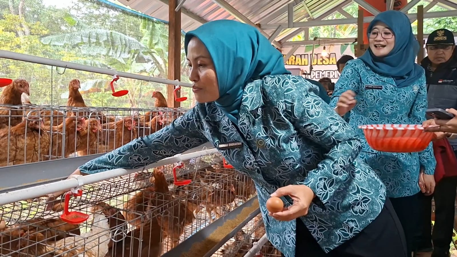 PANEN TELUR: Ketua TP PKK Provinsi Jawa Tengah Nawal Arafah Yasin bersama Ketua TP PKK Kabupaten Kudus Endhah Endayani memanen telur ayam.