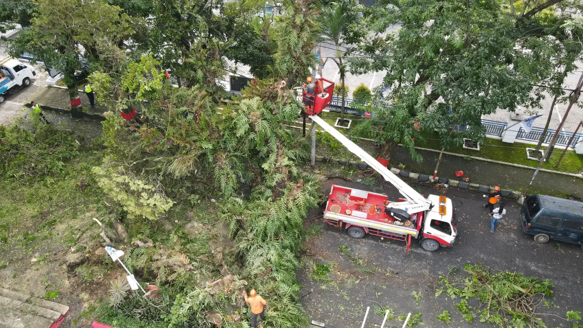 TUMBANG: Pohon mindik (trembesi) berusia ratusan tahun di Alun-Alun Purwodadi tumbang diterjang angin. (PUSDALOPS BPBD Grobogan untuk RADARPATI)