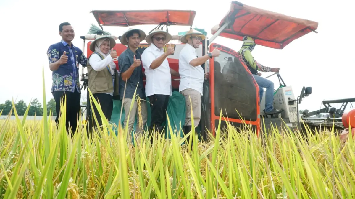 
Kegiatan panen raya yang dilakukan Pemkab Pati bersama salah satu kelompok tani beberapa waktu lalu.  (ACHMAD ULIL ALBAB/RADAR PATI)
