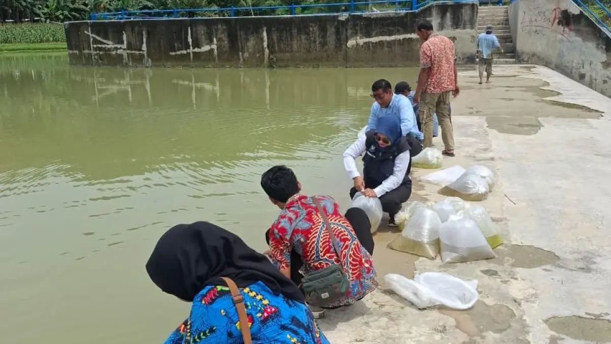 DITEBAR: Penebaran ribuan benih ikan di sejumlah perairan.