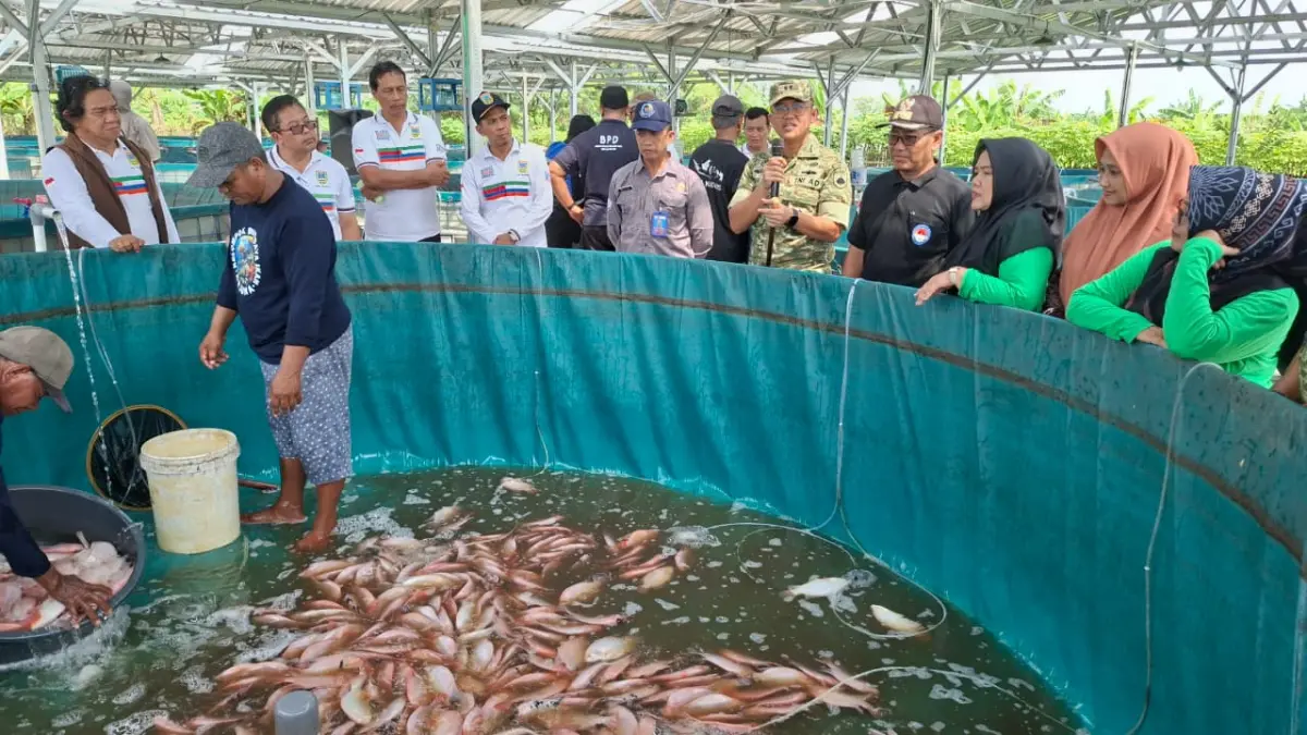 PANEN: Komandan Kodim 0722/Kudus, Letkol Arh Yuusufa Allan Andriasie bersama Kepala Dinas Pertanian dan Pangan Kabupaten Kudus, Didik Tri Prasetyo yang mewakili Wabup Kudus, Bellinda Putri Sabrina Birton, serta Kepala KDMP Desa Undaan Lor, Rifan Hamim memanen ikan KDMP perdana di Undaan Lor, Jumat (22/5). (ANDIKA TRISNA SAPUTRA/RADAR PATI)
