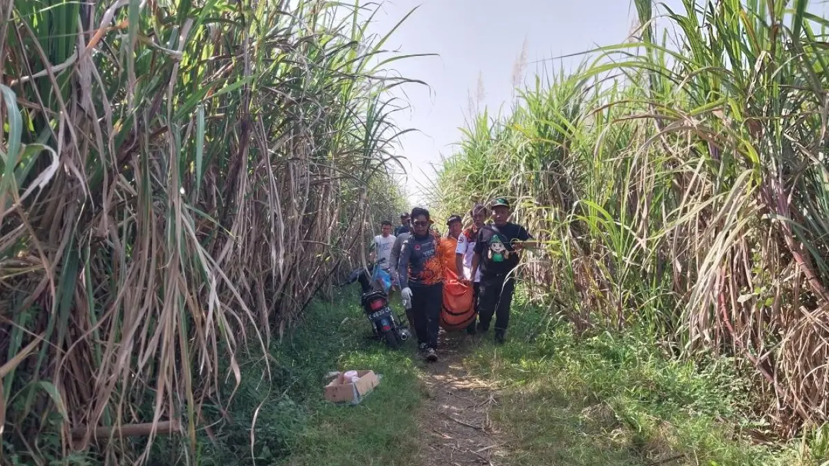  NAHAS: Petugas melakukan evakuasi korban yang dikabarkan hilang di lahan tebu di Desa Kedungsari. (BPBD KUDUS UNTUK RADAR PATI)