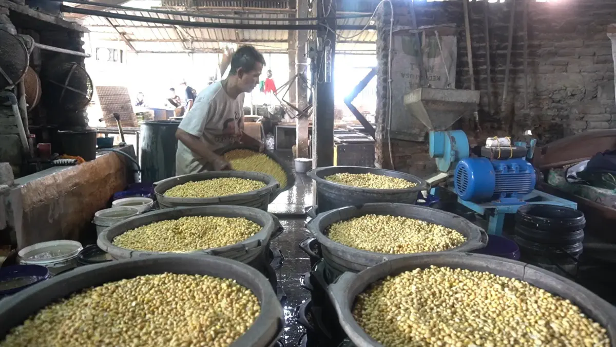 
NAIK: Produsen tahu tempe memproses kedelai untuk dihaluskan. (GALIH ERLAMBANG W/ RADAR PATI)
