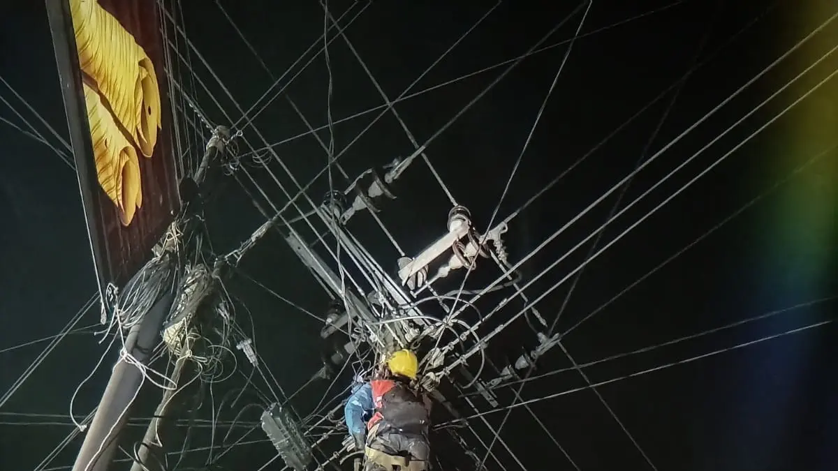 Petugas PLN melakukan pemeliharaan jaringan listrik. (FIKRI T/RADAR PATI)