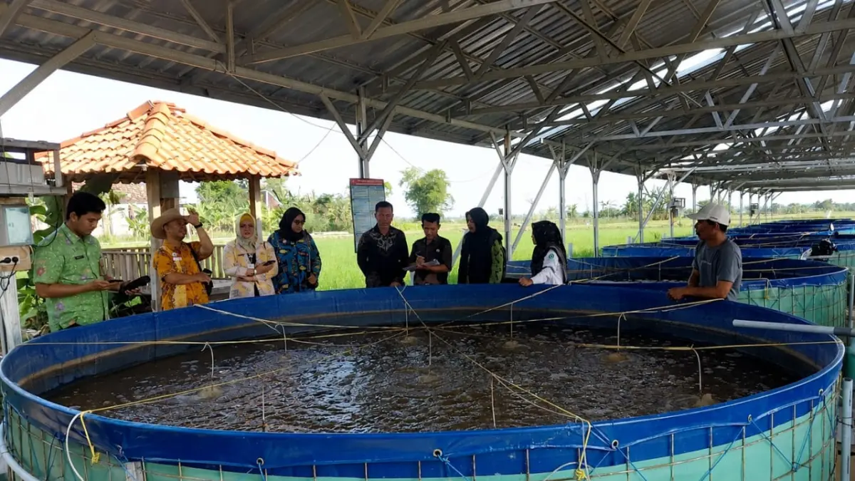 BUDIDAYA: Bantuan kolam ikan bioflok pada 2025 di Desa Kedungrejo Kecamatan Purwodadi.