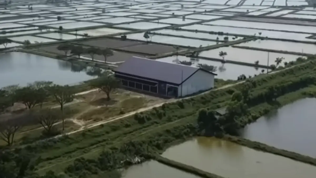 Koperasi Desa Merah Putih (KDMP) di Desa Langgenharjo, Kecamatan Margoyoso, Kabupaten Pati di tengah tambak ikan. (ist,)