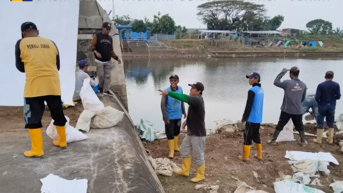 GOTONG ROYONG: Masyarakat beserta tim penanganan lintas sektor tengah melakukan perbaikan darurat Bendung Karet Welahan Bum. (DKPP JEPARA UNTUK RADAR PATI) 