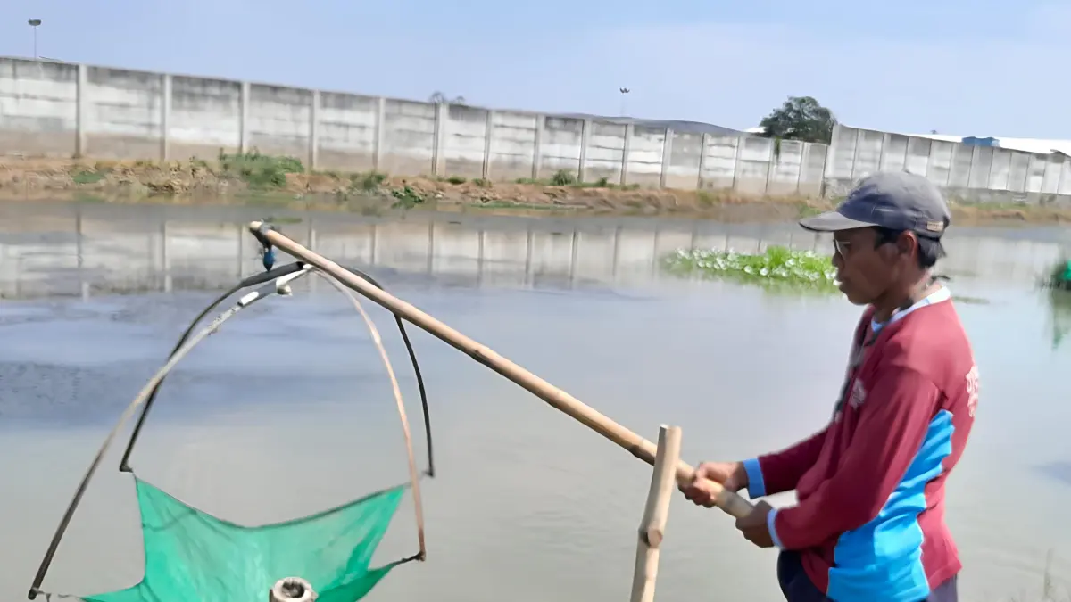 
DICEK: Petani tambak Juwana Sugeng melihat area tercemar di pertambakaan Desa Gadingrejo, Juwana. (ANDRE FAIDHIL FALAH/RADAR PATI)