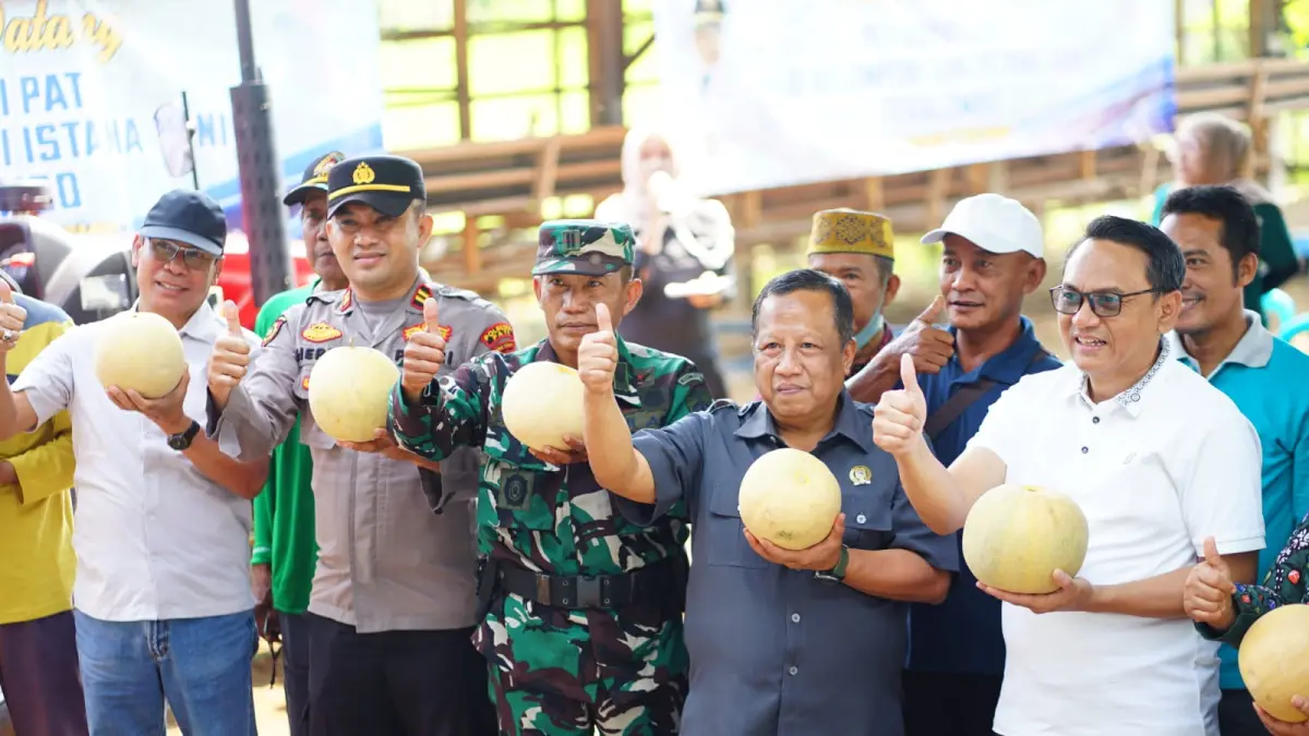 Plt Bupati Pati saat panen melon di Desa Tegalombo Kecamatan Dukuhseti. (HUMAS PATI)