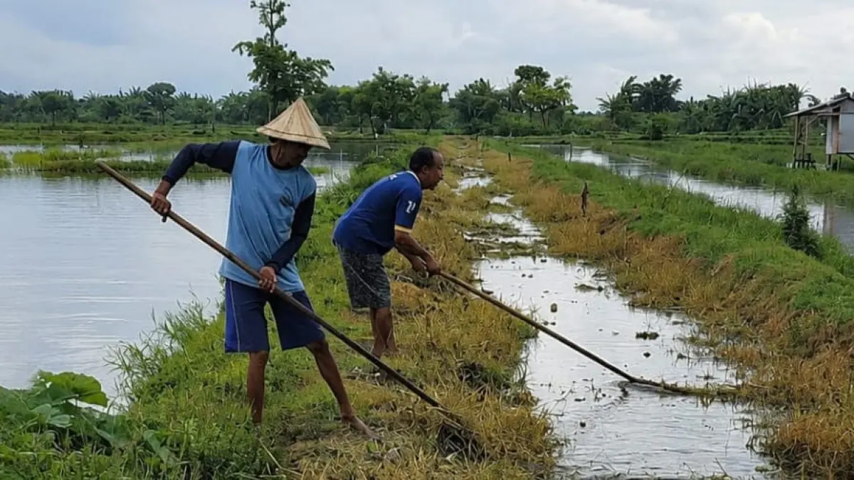  Sejumlah warga Desa Bulumanis Lor, Kecamatan Margoyoso, Kabupaten Pati, melaporkan dugaan pencemaran Sungai Mbango. (ULIL ALB/RADAR PATI)