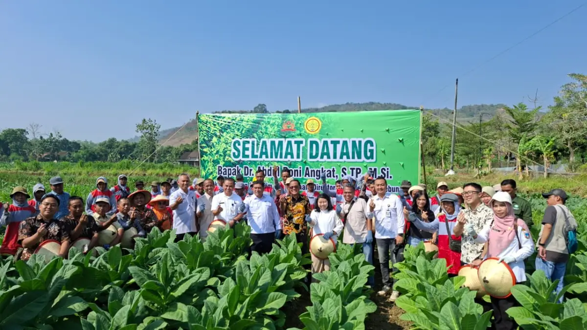 BLUSUKAN: Dirjen Perkebunan Kementerian Pertanian RI Abdul Roni Angkat bersama OPD terkait dan petani blusukan ke lahan tembakau kecamatan Gunem. (DINTANPAN UNTUK RADAR PATI)