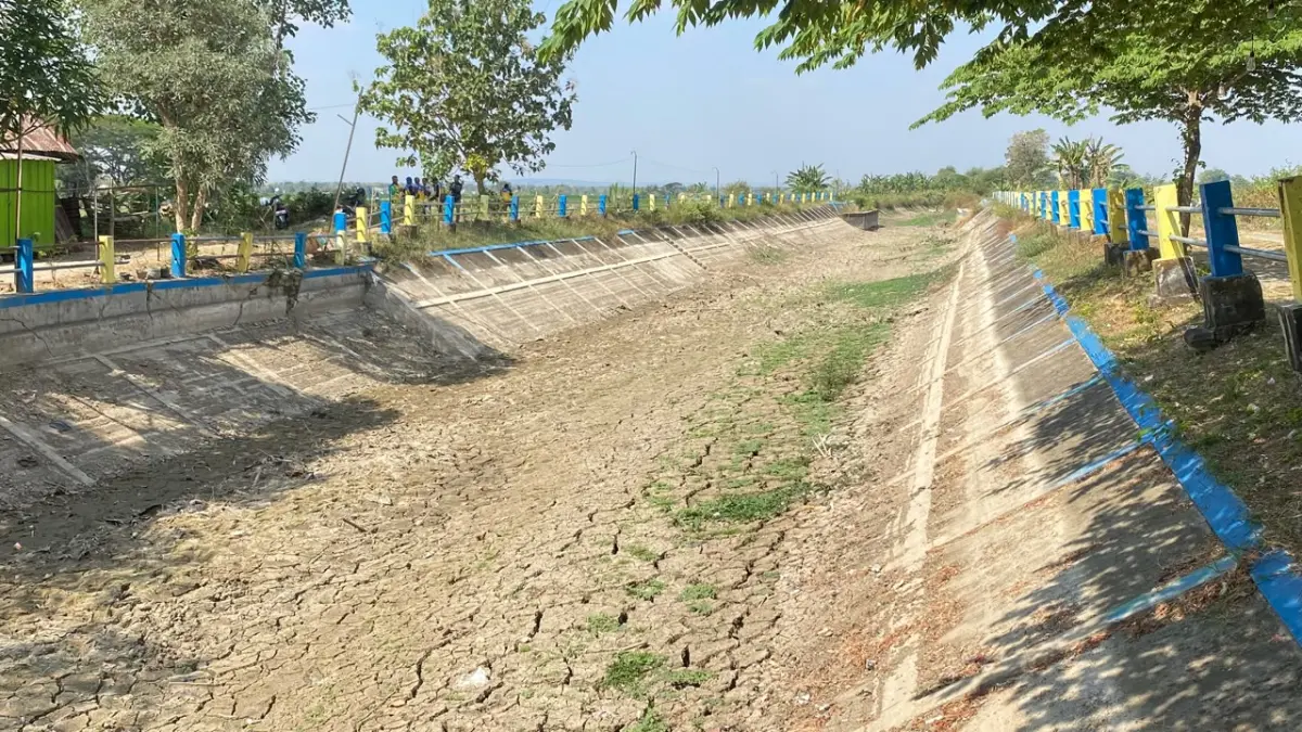 KERING: Sungai (irigasi) Gabus yang mengalami kekeringan dan muncul retakan tanah akibat musim kemarau.  (ARIF FAKHRIAN KHALIM/RADAR PATI)