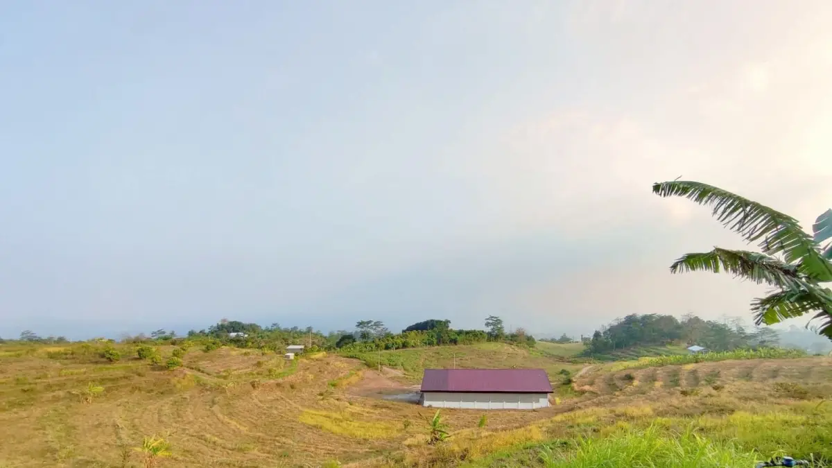 TAMPIL BEDA: Kondisi bangunan KDKM Desa Ternadi yang berada di tengah perkebunan. (WARGA UNTUK RADAR PATI)
