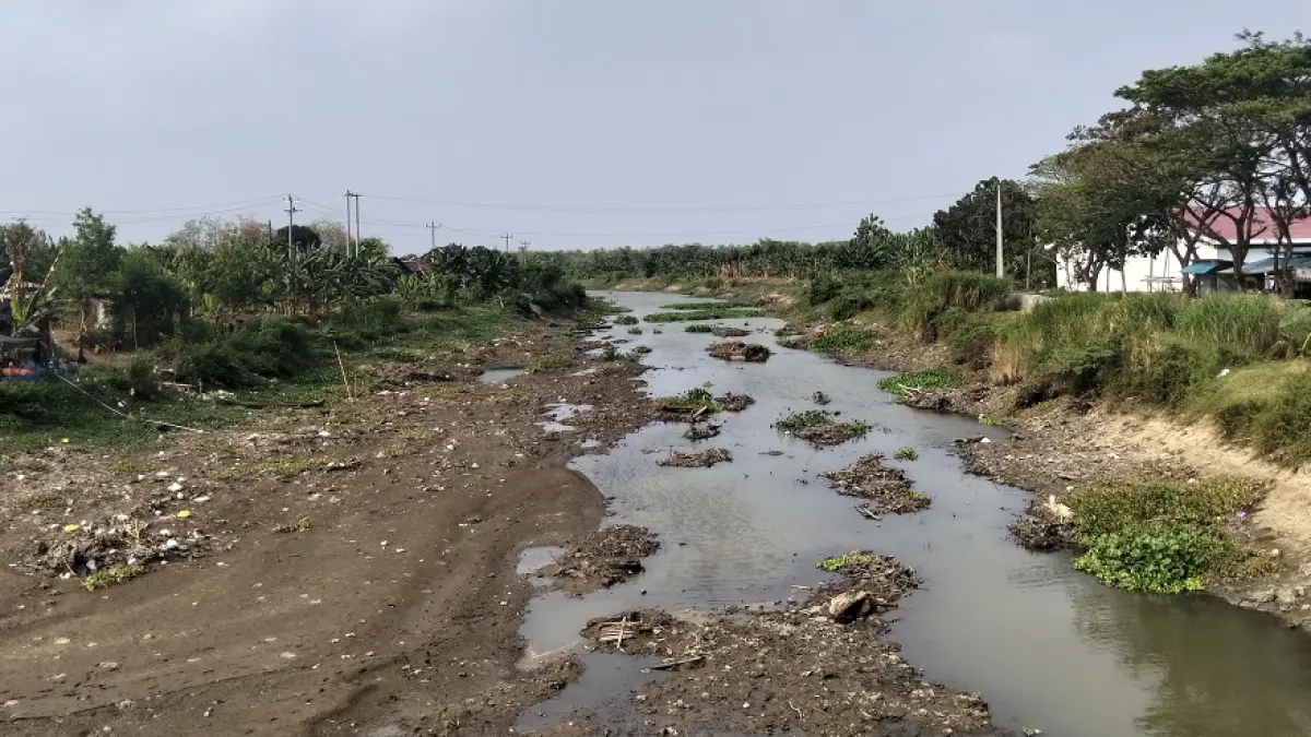 
KERING: Dasar Sungai Silugonggo mulai terlihat di Desa Dengkek, Pati kemarin. (ANDRE FAIDHIL FALAH/RADAR PATI)
