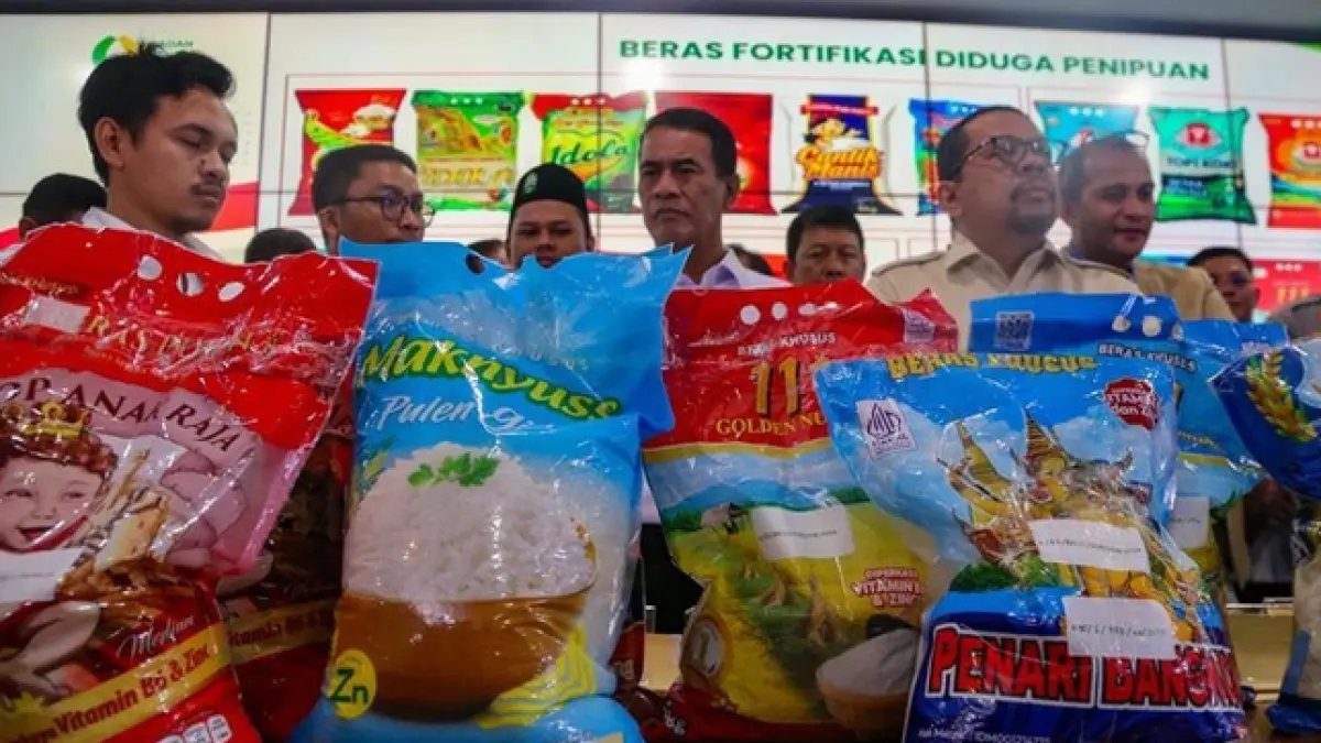 Beras Fortifikasi