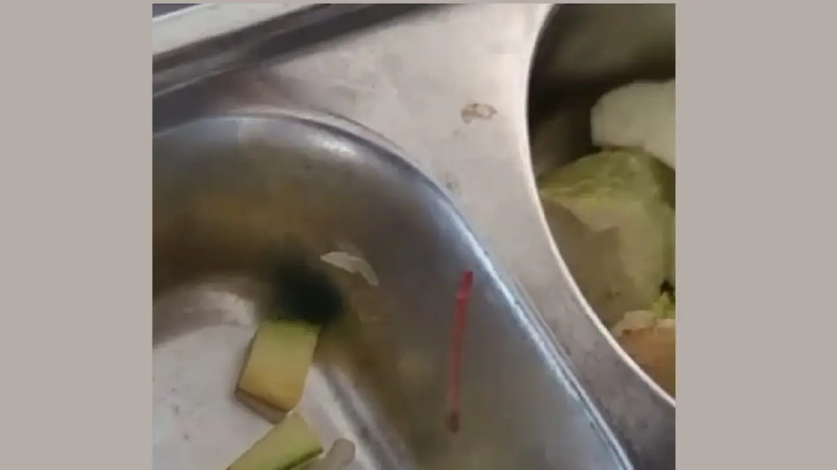 MENGGELIAT: Ulat berwarna merah nampak di menu MBG salah satu sekolah di Pati. (TANGKAPAN LAYAR VIDEO)
