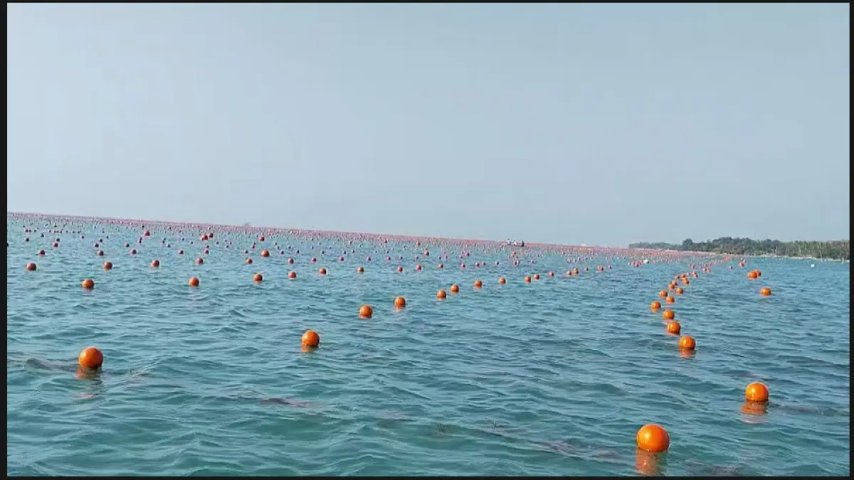 Hamparan kawasan modeling budidaya rumput laut dengan menggunakan sarana dan prasarana ramah lingkungan (menggunakan HDPE) guna menghindari penggunaan botol plastik yang berpotensi mencemari kesehatan biota laut akibat mikroplastik.
