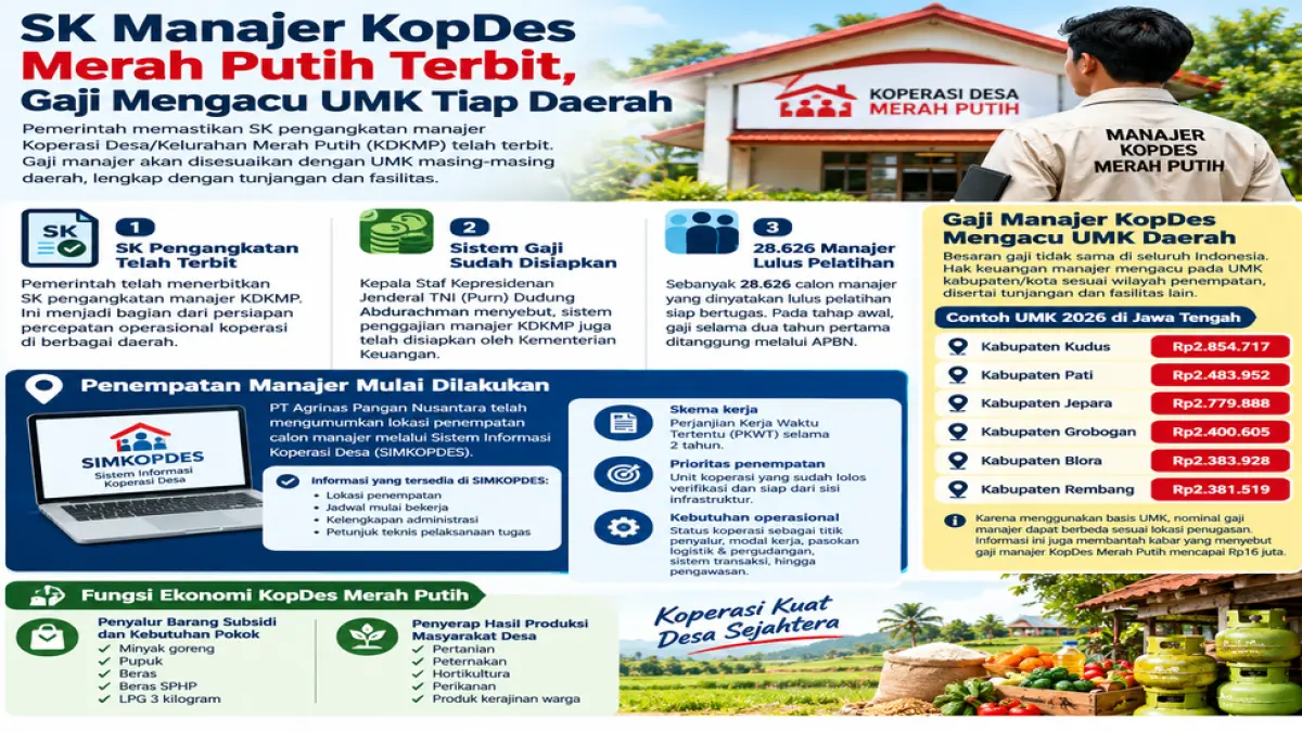 Infografis gaji manajer Kopdes/Kopkel. (AI/ABD.ROCHIM)