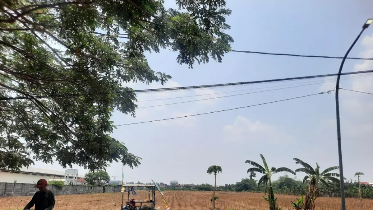 TANAH LAPANG: Lokasi persawahan dekat Pasar Baru tersebut calon lokasi Pasar Anyar. (INDAH SUSANTI/RADAR PATI)