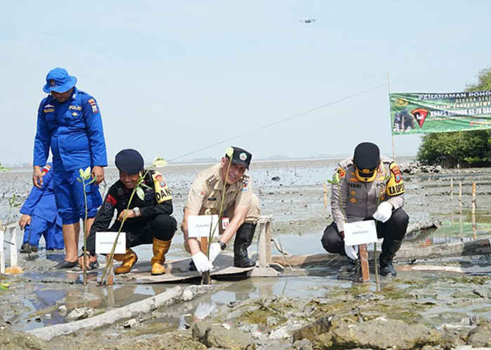 PENGHIJAUAN: Pj Bupati Bangkalan Arief M. Edie dan  Kapolres Bangkalan AKBP Febri Isman Jaya bersama jajaran forkopimda menanam bibit pohon mangrove di pesisir Desa Tajungan, Kamal. (PROKOPIM)