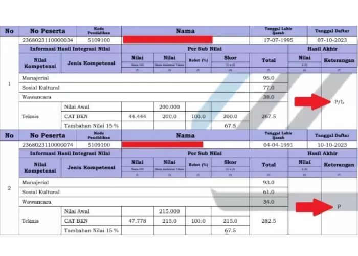 Ada sejumlah kode dalam pengumuman kelulusan PPPK 2023. Kode-kode tersebut terletak pada bagian kolom keterangan tabel pengumuman hasil PPPK 2023. (Tangkapan layar/Pojoksatu.id)
