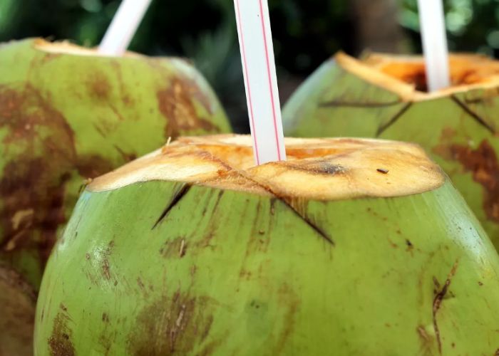 Ilustrasi air kelapa (sumber: Gadini/Pixabay)
