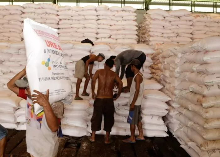 Pupuk bersubsidi hanya bisa didapat di kios resmi penyalur. (dok. Pupuk Indonesia)