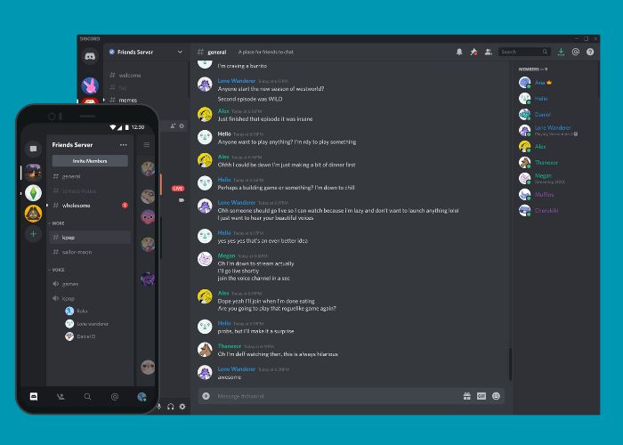 Platform Discord