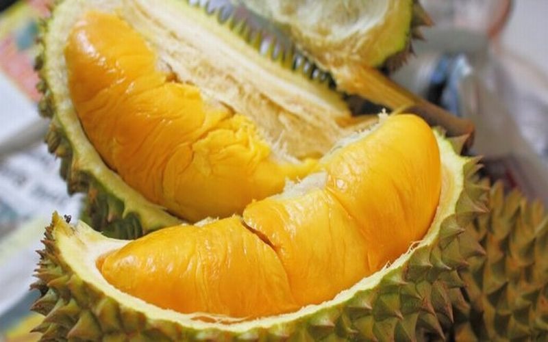 Hindari Konsumsi Durian Berlebihan, Makan Buah Durian Dapat Berpotensi Menimbulkan Masalah Kesehatan yang Serius. (Foto:Ist)