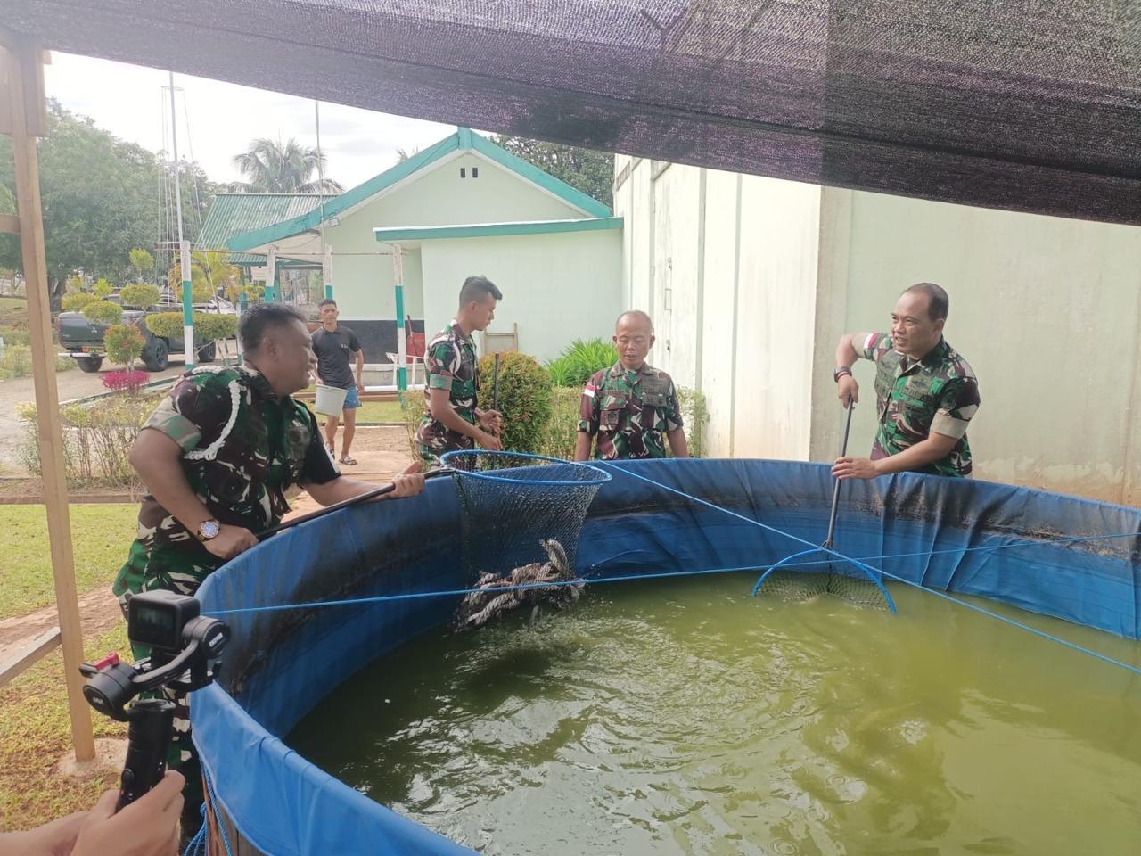 Pelatihan Budidaya Lele TNI AD di Papua