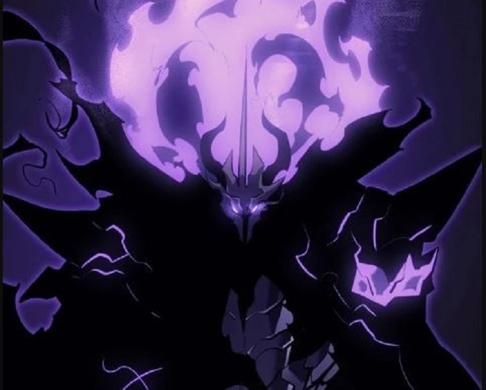 (solo-leveling.fandom.com)