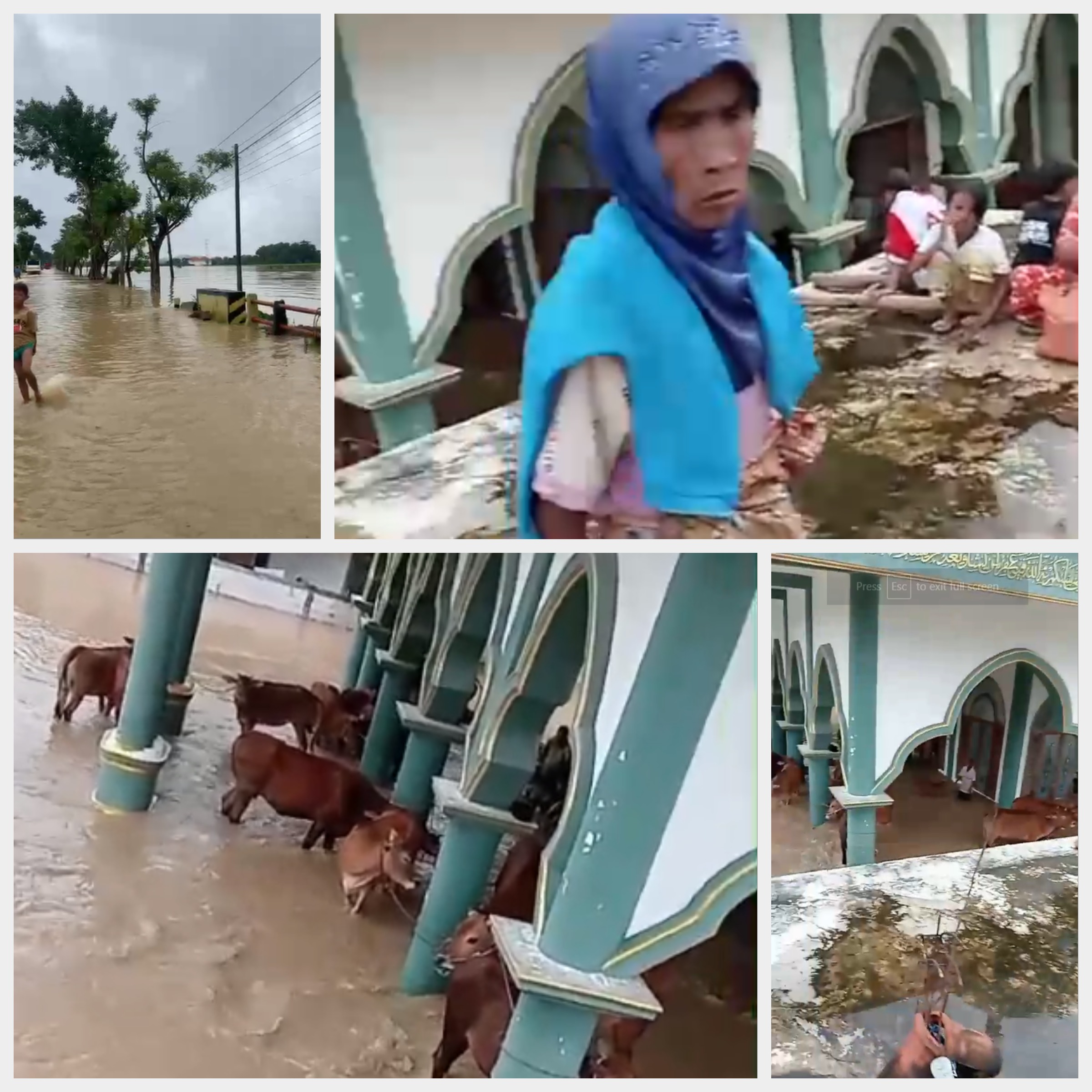 Banjir di Bangkalan Terbaru, Kondisi Terkini 2 Jalan Utama Masih Terputus Akibat Banjir: PJ Bangkalan Turun Tangan ke Blega. (Kolase RadarBangkalan.id)